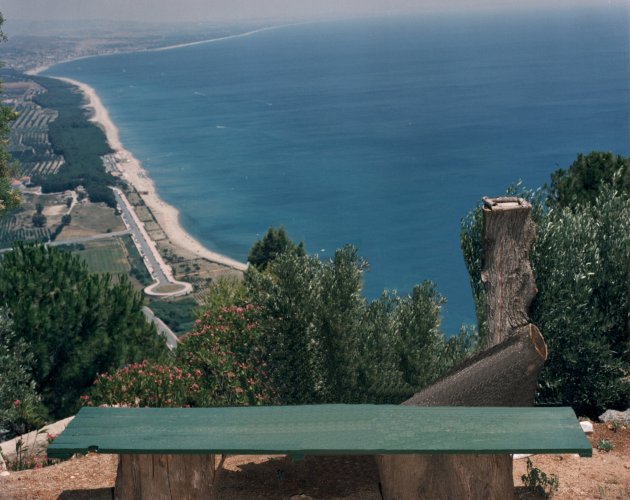 mare1.jpg (67492 byte)